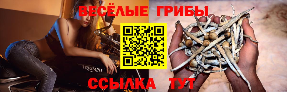 Псилоцибиновые грибы ЛСД  Вход с VPN  Махачкала  Галлюциногенные грибы ЛСД 