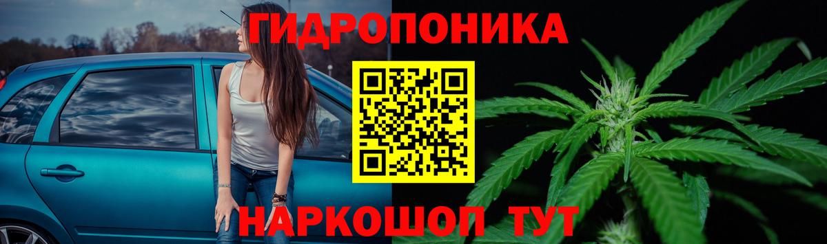 Каннабис сатива  Шишки марихуана семена  Махачкала  Вход с VPN  Конопля White Widow 